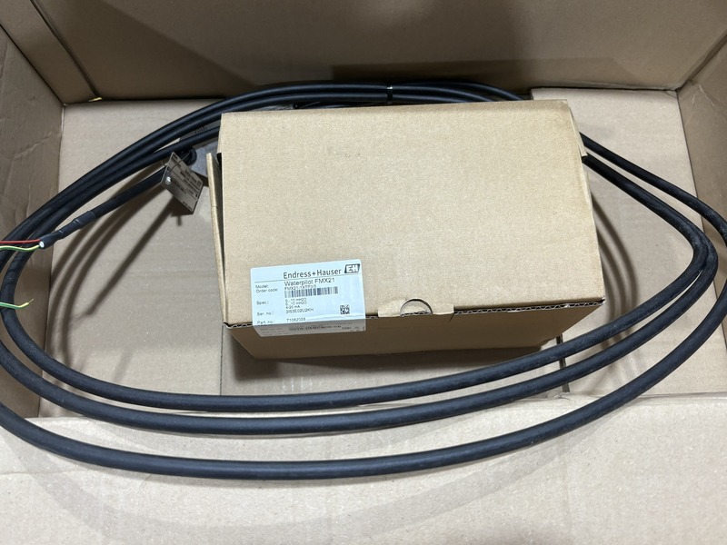 Endress+Hauser FMX21-AA121HGD15
